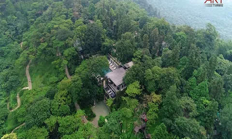 Melia Ba Vì - Đánh thức một thị trấn bị lãng quên